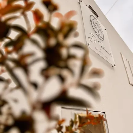 D'felicidade * Caldas Da Rainha